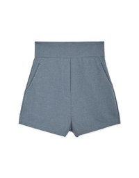 Stark Minimalism High Waisted Shorts
