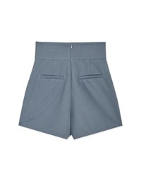 Stark Minimalism High Waisted Shorts