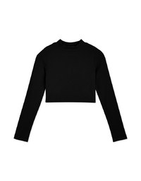 Mock Neck Plain Crop Fit Top