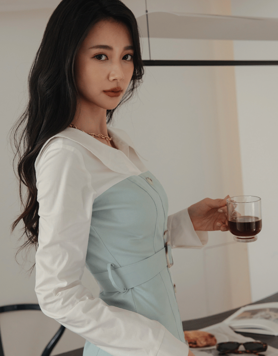 Button-Down Blouse Shirt s Mini Dress (With Belt)