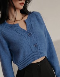 Small V Double Button Plush Knit Sweater