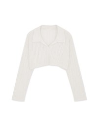Lapel Sheer Cropped Top
