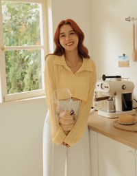 Lapel Sheer Cropped Top