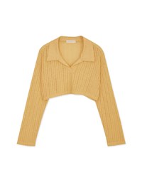 Lapel Sheer Cropped Top