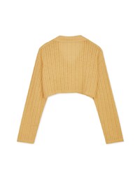 Lapel Sheer Cropped Top
