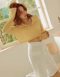 Lapel Sheer Cropped Top