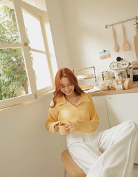Lapel Sheer Cropped Top