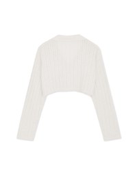 Lapel Sheer Cropped Top