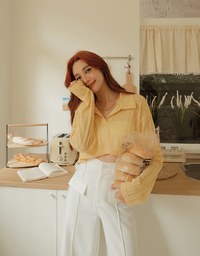 Lapel Sheer Cropped Top