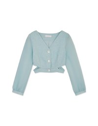 Sheer Puff Sleeve Cut Out Crop Top