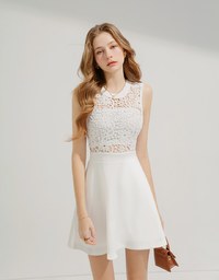 Hollow Lace Mini Dress