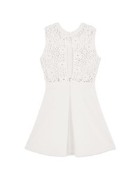 Hollow Lace Mini Dress