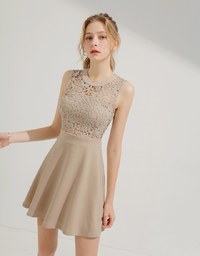 Hollow Lace Mini Dress