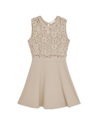 Hollow Lace Mini Dress