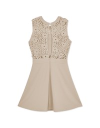 Hollow Lace Mini Dress