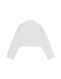 Simple Crop Long Sleeve Blouse Shirt