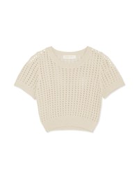 Hollow Hole Crop Knit Top