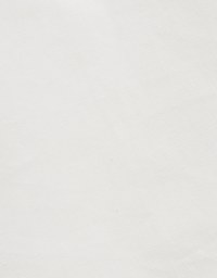 Adjustable Waist Short Sleeve Blouse Shirt