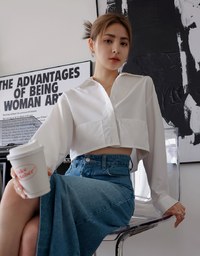 Simple Crop Long Sleeve Blouse Shirt
