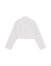 Simple Crop Long Sleeve Blouse Shirt
