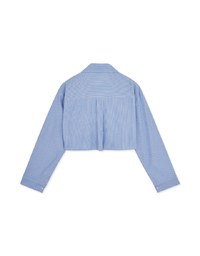 Simple Crop Long Sleeve Blouse Shirt