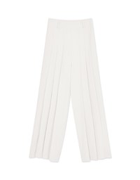 Detailing Pleated Wide Pants