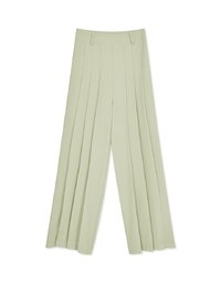 Detailing Pleated Wide Pants