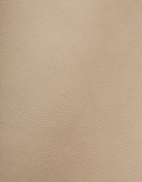 Matte Faux Leather Mini Dress(With Padding)