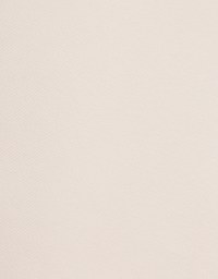 Elegant Open Collar Twisted Mini Dress