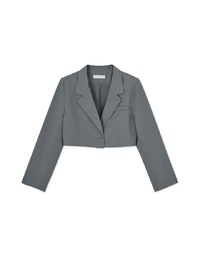 Comfy Lapel Crop Blazer (With Shoulder Pads)