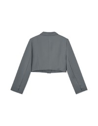 Comfy Lapel Crop Blazer (With Shoulder Pads)