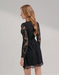 V-Neck Lace Translucent Mini Dress