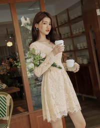 V-Neck Lace Translucent Mini Dress