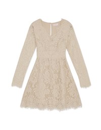 V-Neck Lace Translucent Mini Dress