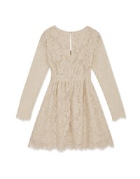 V-Neck Lace Translucent Mini Dress