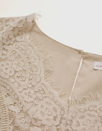 V-Neck Lace Translucent Mini Dress
