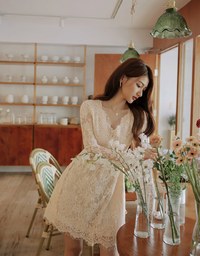 V-Neck Lace Translucent Mini Dress