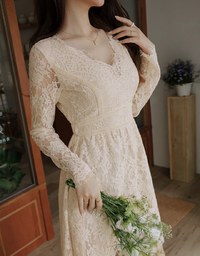 V-Neck Lace Translucent Mini Dress