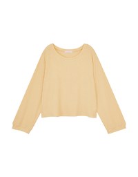 Plain Striped Translucent Top