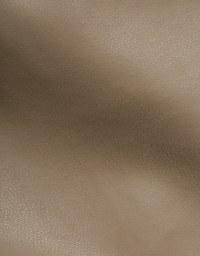 Single Button Faux Leather Wide Hem Shorts