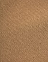 Textured Wide Pleated Skorts