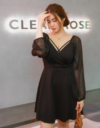 Sexy Sheer Mini Dress (With Padding)