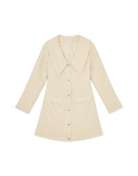 Romance Wide Collar Mini Dress