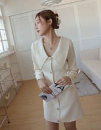 Romance Wide Collar Mini Dress