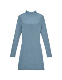 Turtleneck Sheer Bodycon Mini Dress