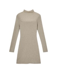 Turtleneck Sheer Bodycon Mini Dress
