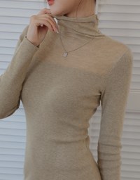 Turtleneck Sheer Bodycon Mini Dress