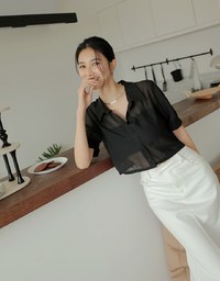 Textured Sheer Short Sleeve Blouse