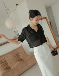 Textured Sheer Short Sleeve Blouse