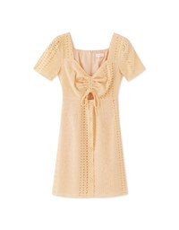 French Embroidered Hollow Tie Mini Dress